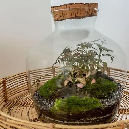 A Piazza Di Spagna Dom wakacyjny